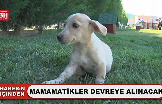 Mamamatikler Devreye Alınacak