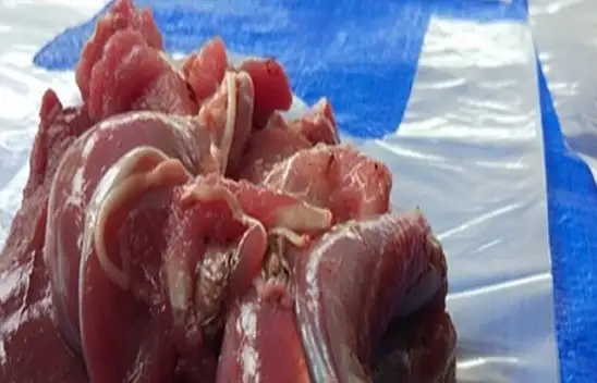 Sağlık Müdürü Keskin: 'Kalp ve Şeker Hastaları Eti 24 Saat bekletsin'