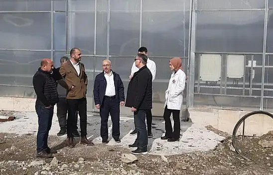 Sındırgı'da Jeotermal Serada Süs Bitkileri İle Kök Boya Bitkilerinin Fideleri Yetiştirilecek