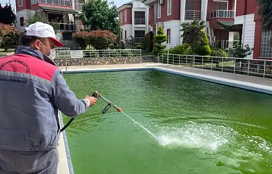 Sinek Ve Haşeresiz Yaz İçin İlaçlama Çalışmaları Hız Kazandı