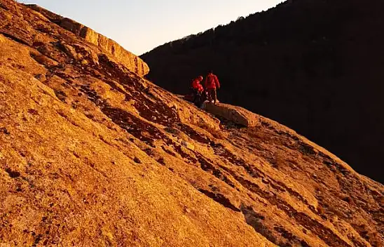 Uçuruma Düşen Av Köpeği Kurtarıldı