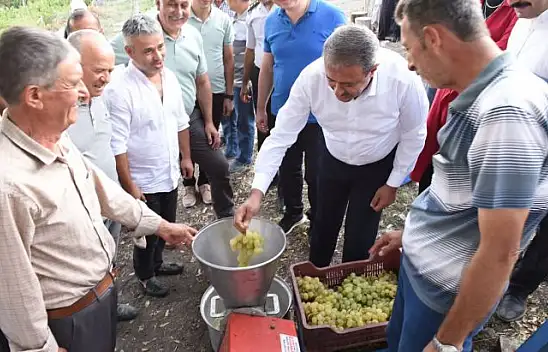 Üzümün Yolculuğuna Tanıklık Ettiler