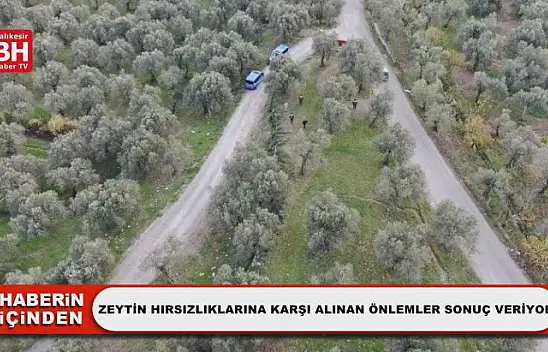 Zeytin Hırsızlıklarına Karşı Alınan Önlemler Sonuç Veriyor