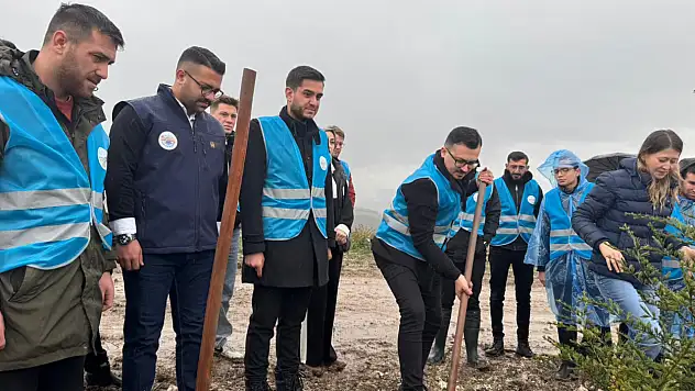 Balıkesir AK Gençlik'ten Fidan Dikim Seferberliği  'YEŞİL VATANI KORUMAK GELECEK NESİLLERE KARŞI SORUMLULUĞUMUZDUR.'