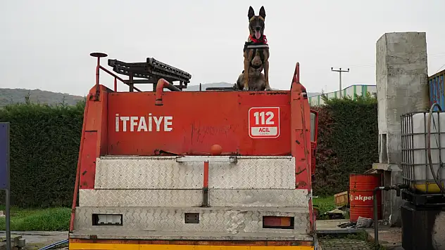 Balıkesir İtfaiyesi'nin İda'sı hayat kurtaracak