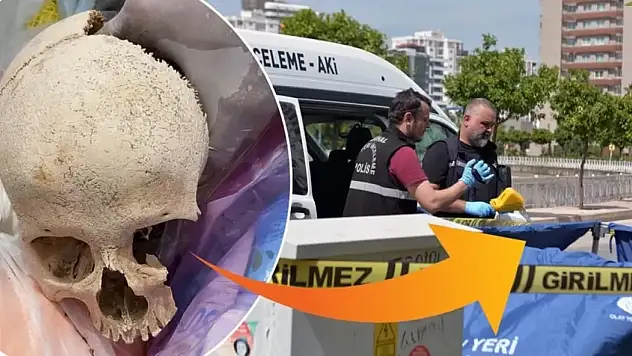 Bir sitenin çöpünden kafatası çıktı!!!