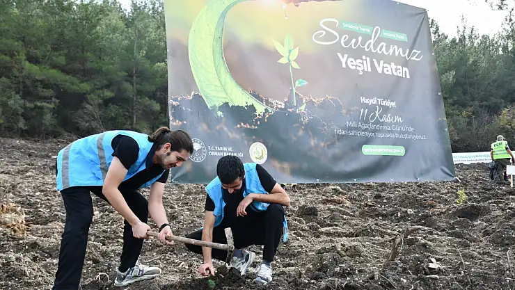 Balıkesir'de Gençler Milli Ağaçlandırma Günü'nde Yeşil Vatan İçin Buluştu