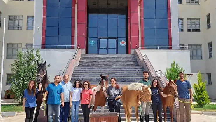 BAÜN'de Anlamlı EtkinlikEngeller Atlı Terapi ile Aşılıyor