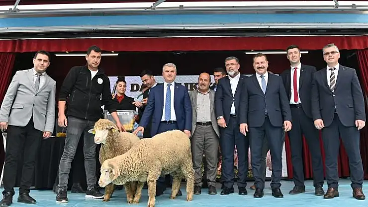 BBB, 481 KOÇ DAĞITTI