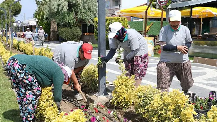 Burhaniye'de 2023'te 250 Bin Metrekare Yeşillendirildi
