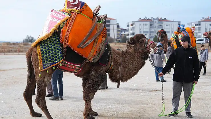 Burhaniye'de Geleneksel Havut Hayrı Yapıldı