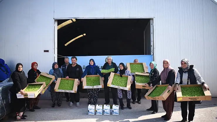 Büyükşehir'den kadın sera üreticilerinin maliyetini azaltan destekler