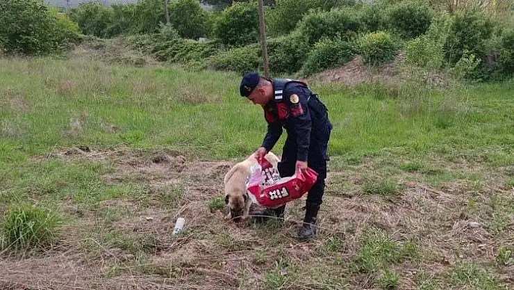 Can Dostlarımızı Yalnız Bırakmadık