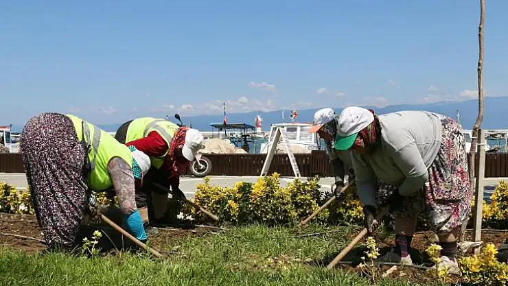 Daha Yeşil Burhaniye İçin Çalışmalar Devam Ediyor