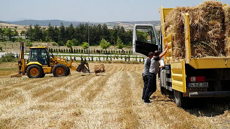 Ekiminden biçimine kadar bütün süreçler Büyükşehir'den