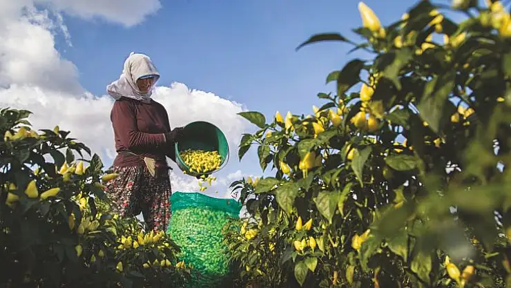 Fotoğraf Meraklılarının Gözünden 'Her Mevsimin Karesi'