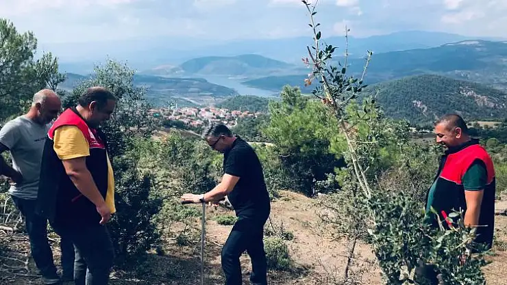 Karadut Suyu Yetiştiriciliğini Geliştirme Çalışmaları Sürüyor