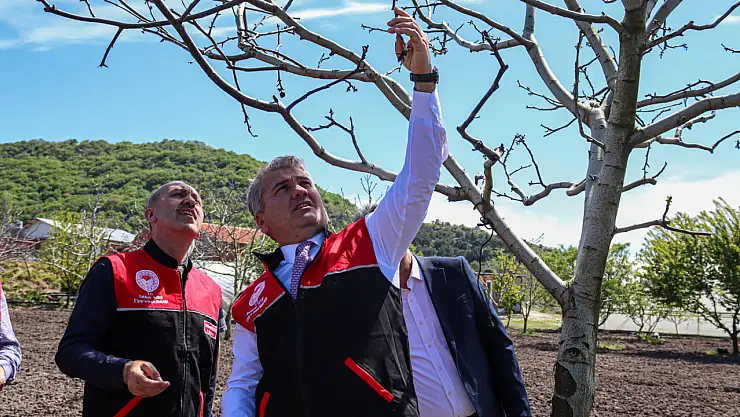 Milletvekili Dr. Mustafa Canbey'den Zirai Don Zararına Uğrayan Üreticilere Ziyaret