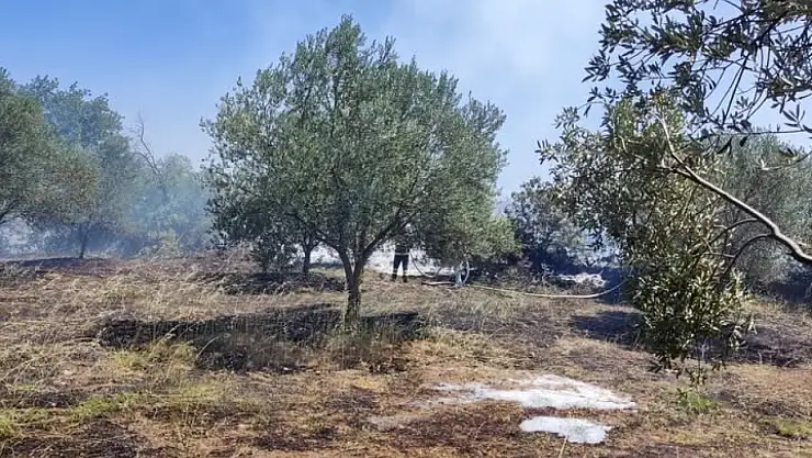 Sarıbeyler'de çıkan yangın ucuz atlatıldı
