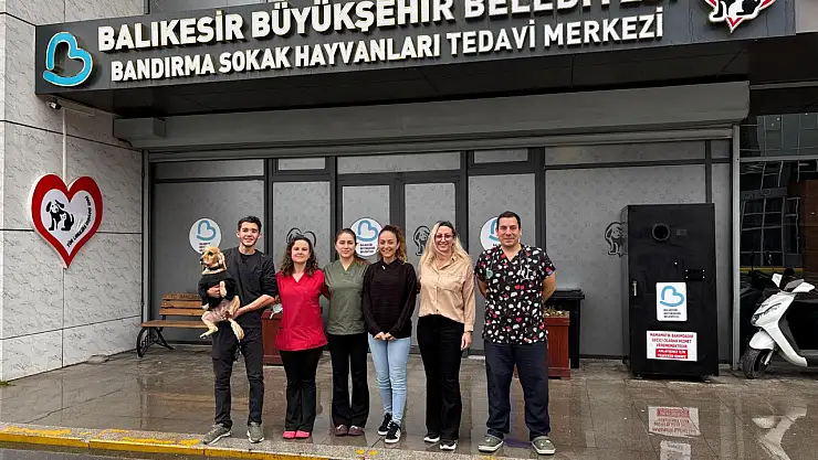 Sokak hayvanları için 35 milyon TL'lik destek