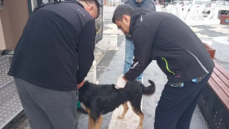 VETBÜS Aralık yolculuğuna Savaştepe'den başlıyor