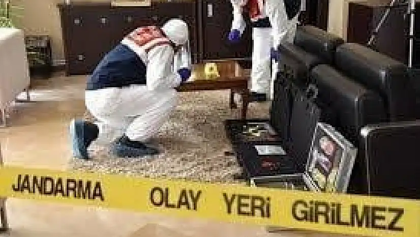 (16) olayın faili şüpheli şahıs tespit edilerek aydınlatıldı.