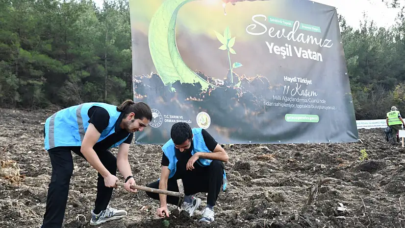 Balıkesir'de Gençler Milli Ağaçlandırma Günü'nde Yeşil Vatan İçin Buluştu