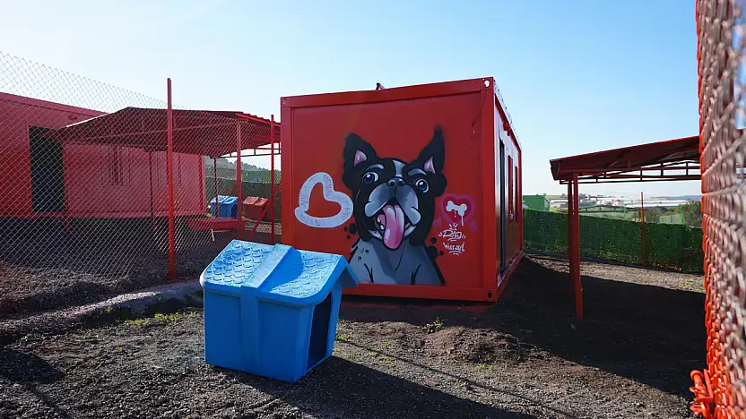 Türkiye'de ilk defa özel gereksinimli can dostlara sıcak yuva Balıkesir'de