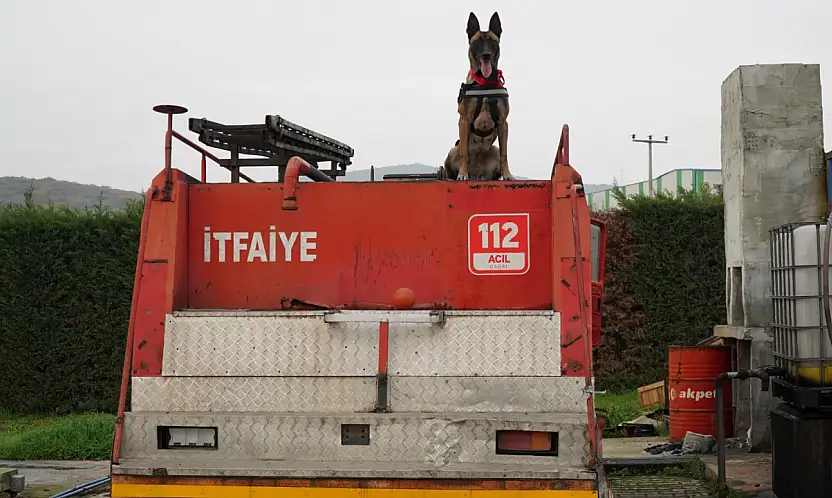 Balıkesir İtfaiyesi'nin İda'sı hayat kurtaracak