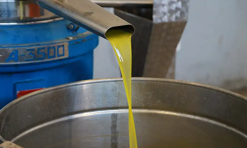 Burhaniye Belediyesi , 'doğallık ve güven' ilkesiyle Zeytinyağlarını tüketiciyle buluşturuyor