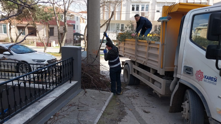 Karesi Belediyesi'nden Ağaçlara Kış Bakımı