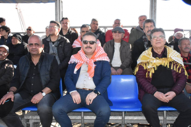 7. Geleneksel Edremit Deve Güreşleri Festivali