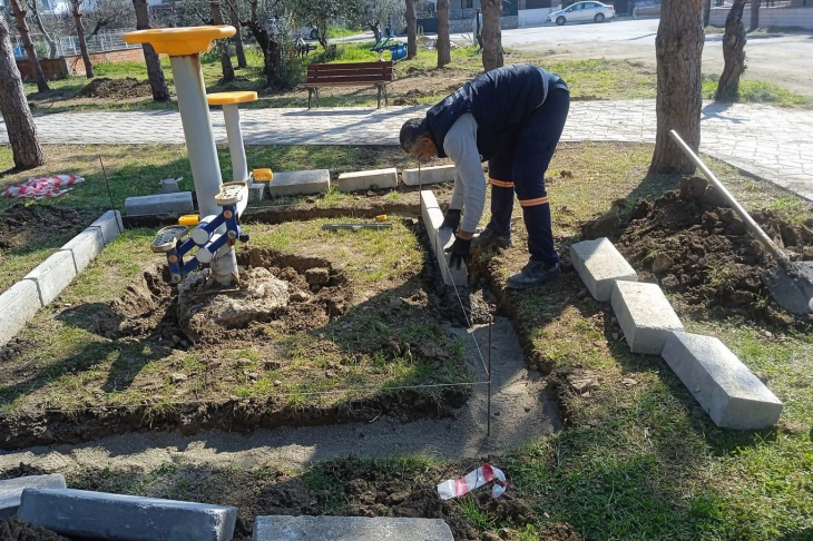 Burhaniye'de Talip Apaydın Çamlığı Yenileniyor